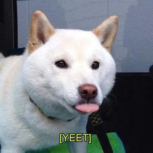 Meet your Posher, Ciara